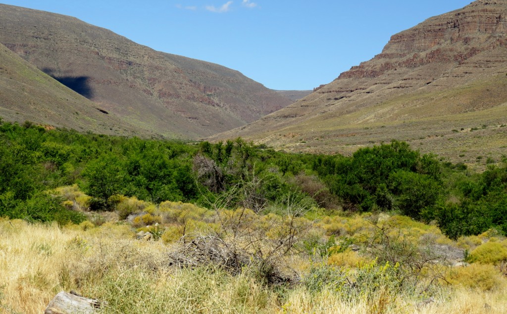Up at langkloof