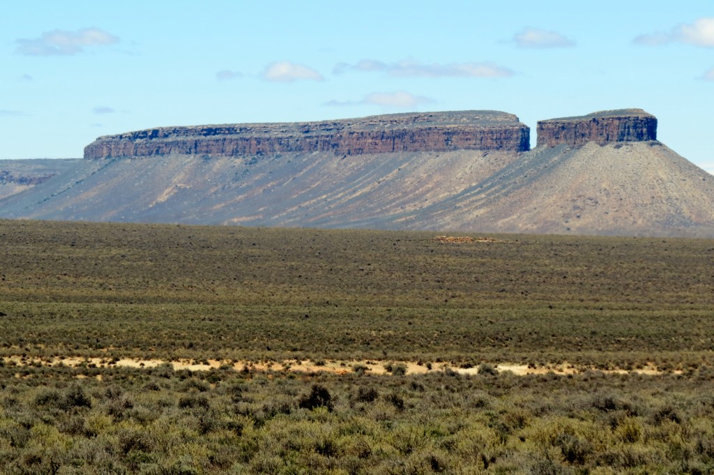 Road out to Calvinia