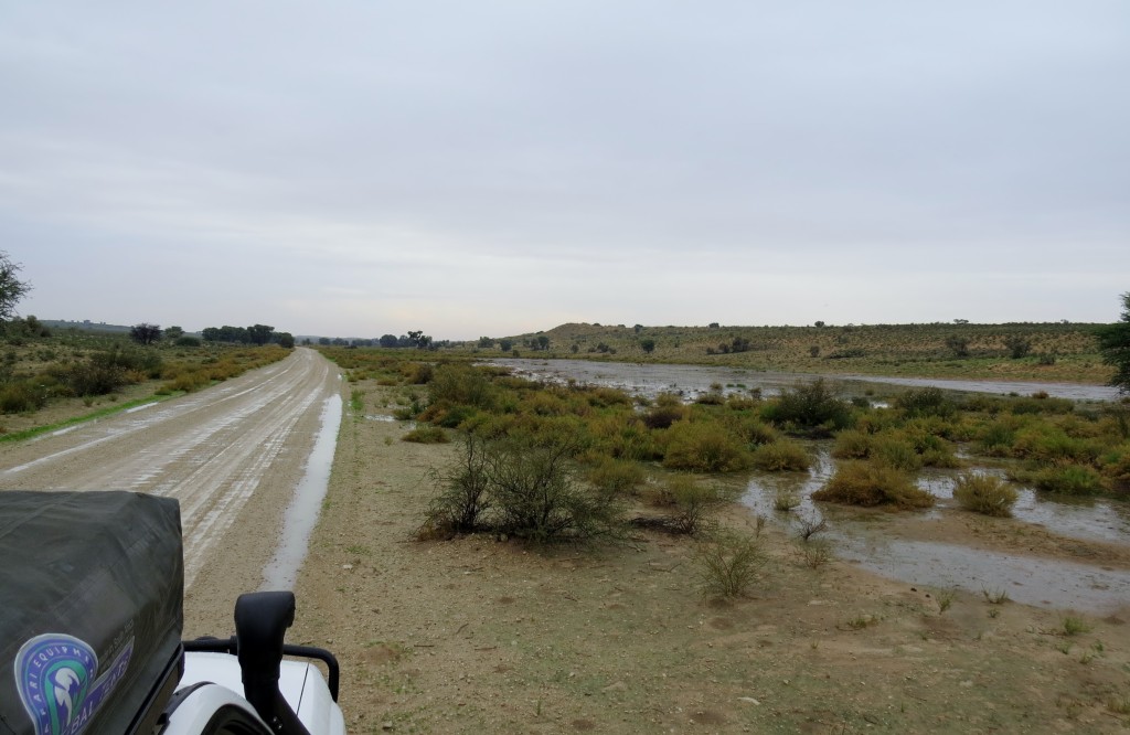 Heading South out of the park from Rooiputs